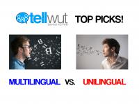 TellWut Top Picks! International Translation Day - you multilingual or ...