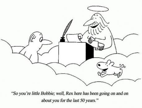 Do you believe animals go to heaven like people do?