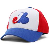 Do you remember the Montreal Expos?