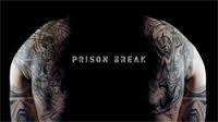 Have you heard of serial Prison break ?