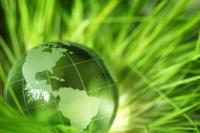 Do you consider yourself to be environmentally conscientious?