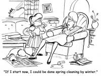 Which of the following spring cleaning endeavors do you undertake?