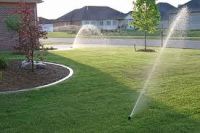 Do you water your grass or lawn?