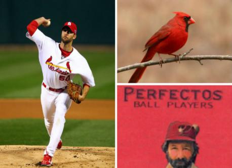 Many fans assume that the St. Louis Cardinals got their name and colors from the bird that is native to the area, but it actually might have come from an overheard conversation. The story suggests that Willie McHale (a columnist for the St. Louis Republic) heard a woman is the stands say that the jerseys were 