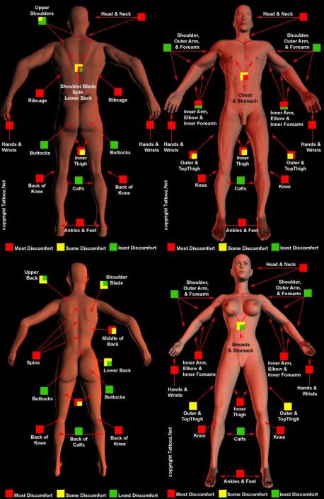 This chart (from Pinterest..sorry if it's offensive) shows the pain level of getting a tattoo on certain areas of the body. If you're considering getting one, would this help you decide on it's placement? (To enlarge, click on image.....look at top right of picture and click on the fill page icon)