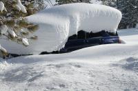 What is the most snow that has fallen in a single storm where you live?