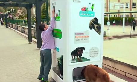 Istanbul devised this vending machine to help feed its stray cat and dog population. Put in an empty water bottle and it will dispense food at the bottom for strays. Do you agree with the solution?