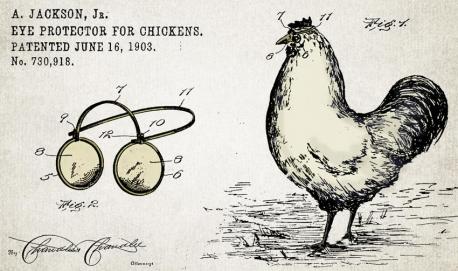 Never be accused of foul play to fowls again! Give credit to Andrew Jackson, Jr. for patenting the Chicken Eye Protectors in 1903. It supposedly protects their eyes from other chickens who might