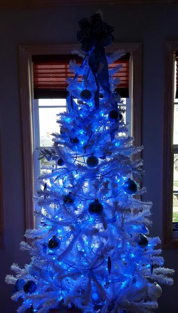 Do you like how this kind of Christmas tree looks?