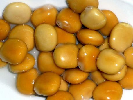 Lupini Beans | Tellwut.com