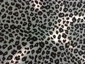 What are your favorite kinds of animal prints?