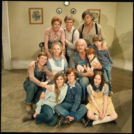 The series was about a mountain family living through the Great Depression era, set in 1940s-1950s Virginia. If you have seen the series, did you like it?
