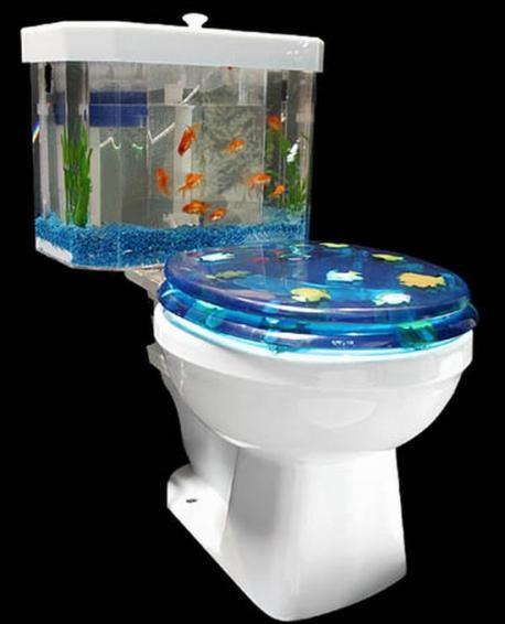 Do you or have you ever owned a fish aquarium?