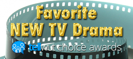 Tellwut Choice Awards - Favorite New TV Drama