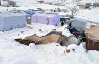 Thousands of refugees in Lebanon are suffering due to adverse weather conditions. Heavy rains caused flooding in many parts of the country which were then covered by a blanket of snow as temperatures plummeted. Do you think the US and Canada should admit more Syrian refugees?