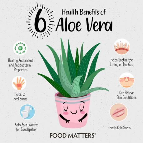 Do you believe Aloe Vera has health benefits?