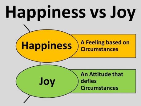 Will you wish Joy for yourself and others in 2024? (www.psychologytoday.com -Joy is a natural part of us, and we're wired to feel it. Learn how to find your joy and live it at any age, by forgetting other people's notions of what you should want or love, and by discovering what brings you joy...