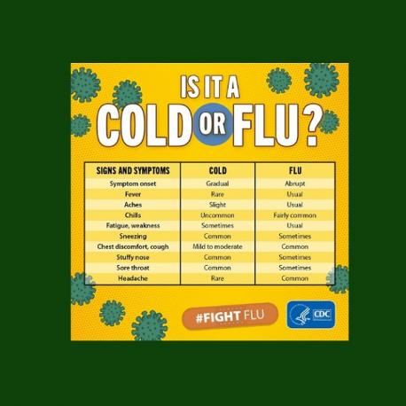 Have you ever had the flu?