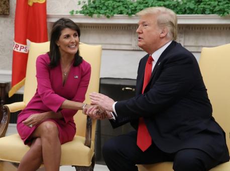 If you could only vote for Nikki Haley or Donald Trump, who would you vote for?