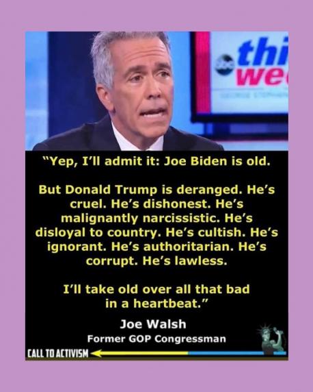 Do you agree with Joe Walsh a former GOP congressman?