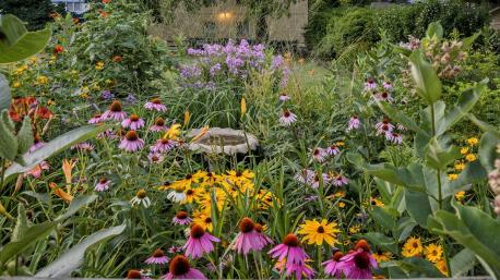 If you do your own gardening or growing flowers, do you get your plants and seeds locally?