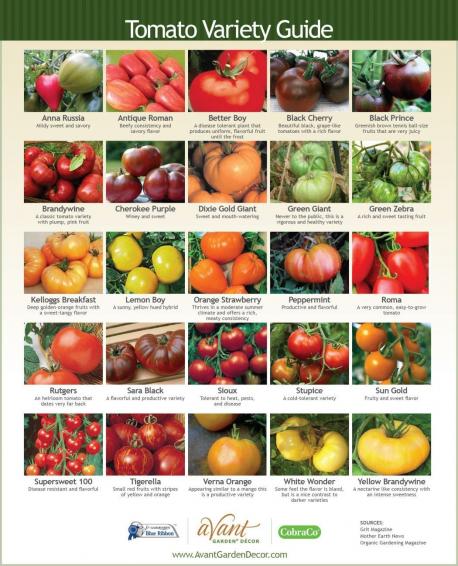 Do you have a tomato preference?