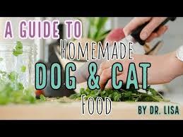 Do you give your cat/dog homemade food?