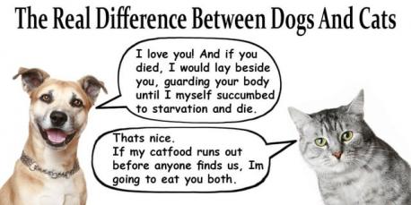 Do feed your pets whatever you are eating?