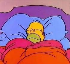 Did you stay awake to greet the New Year?