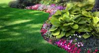 Tis the Summer Season - What methods do you use to maintain upkeep for your yard?