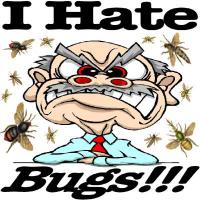 Fear of insects mainly includes a disgust response or aversion to bugs. Insects and bugs often appear