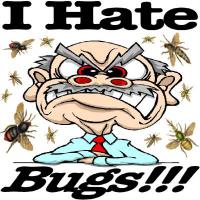 Fear of insects mainly includes a disgust response or aversion to bugs. Insects and bugs often appear 