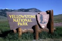 Have you ever been to Yellowstone Park?