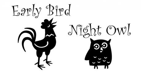 Are you more of a night owl or an early bird?