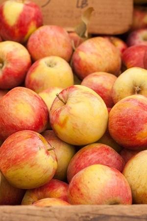 What apples do you like to use for baking?