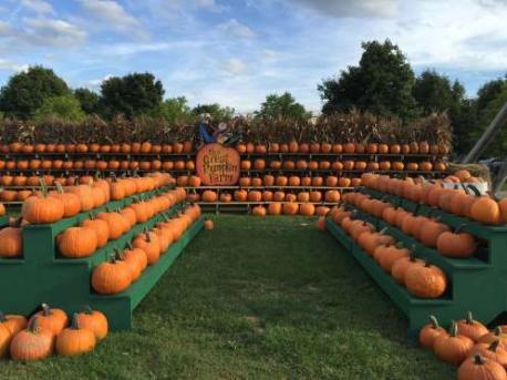 Have you ever visited any of these pumpkin patches (section one)?