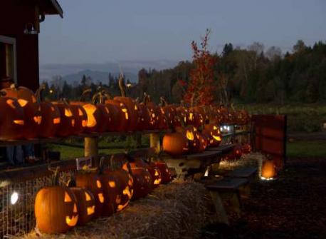 Have you ever visited any of these pumpkin patches (section two)?
