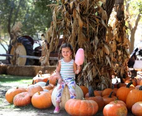 Have you ever visited any of these pumpkin patches (section three)?