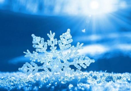 What fun facts are you familiar with (section 2)?