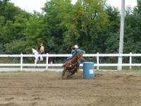 Have you ever watched barrel racing live?