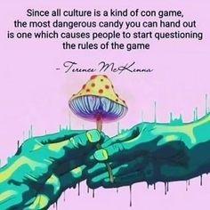 Hallucinogens (Mushrooms, LSD, MDMA etc.)