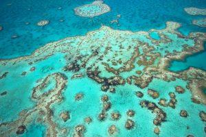 Have you ever been to the Great Barrier Reef in Australia?