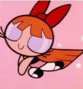 Did you or your children watch the character Blossom on Power Puff girls?