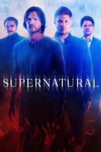 Based on the show Supernatural: Who is your favorite Winchester?