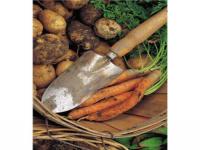 Since the cost of food is rising, do you think having a garden would help in assisting with your monthly food bill?