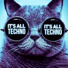 Do you listen to Techno music?