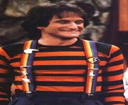Did you ever see Robin Williams in any of the following TV shows?