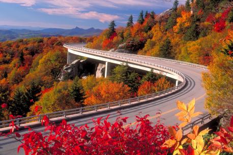 Blue Ridge Parkway, the Carolinas and Virginia---This road is nearly 500 miles of natural beauty, twisting through the Great Smokey Mountains and Shenandoah national parks. Frequent stops lead to amazing panoramic views and some excellent bird watching.