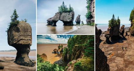 Hopewell Rocks (New Brunswick)--- Onlookers can either stroll along the shores of the Bay of Fundy to explore the unique layout of the area, or be forced to stay clear of the premises due to waters reaching depths of 16 metres (52 feet). This is due to the extreme low and high tide that occurs daily, but once the waters have retreated, getting a glimpse of the Hopewell Rocks is what makes this destination distinctive. These rocks, during low tide, stand 12 to 20 metres tall (39 to 65 feet) with no water surrounding them, and feature formations with trees attached to their tops, giving them their nickname of 