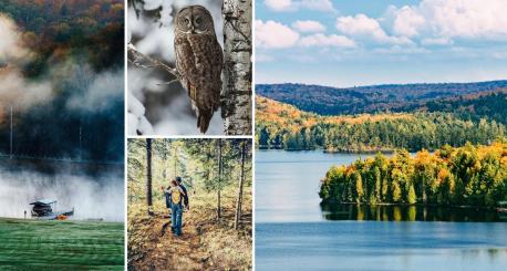 Algonquin Provincial Park (Ontario)--- Besides being the oldest Provincial Park in the entire country, this National Historic Site of Canada offers guests with plenty of chances to paddle across several different rivers, or even go dog sledding in the winter time. Visiting Algonquin Provincial Park will also provide you with a chance to see the inspiration given to the Group of Seven, a collective of Canadian artists from the 1920s whose work was often sparked by the impressive park scenery. Have you ever been to Algonquin Provincial Park?